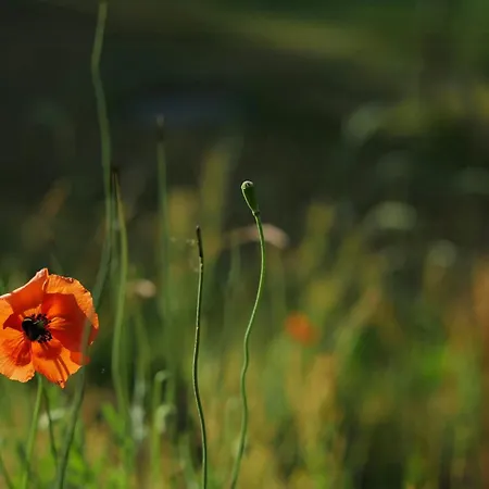 With Sea View In Сasa de vacaciones *