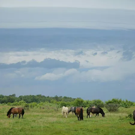With Sea View In Сasa de vacaciones *